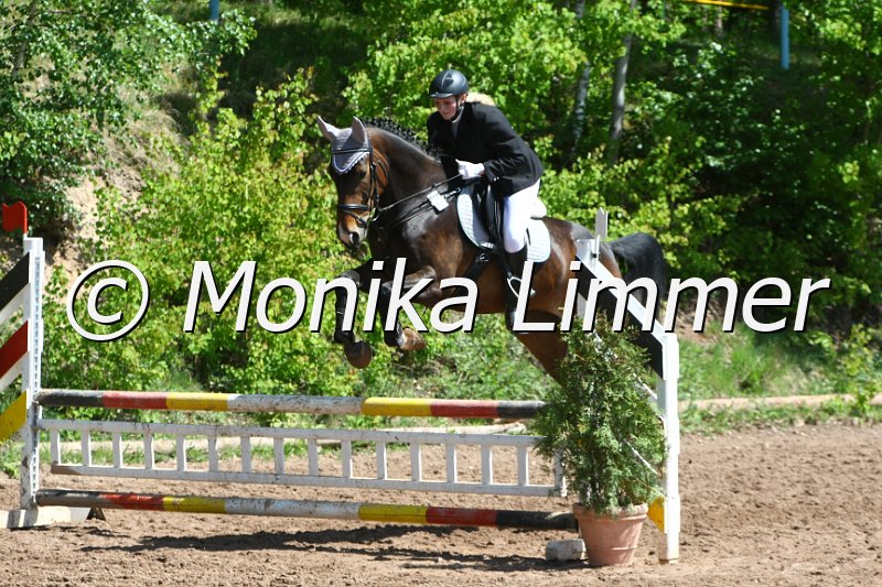 104M8343_SpringWB E.JPG